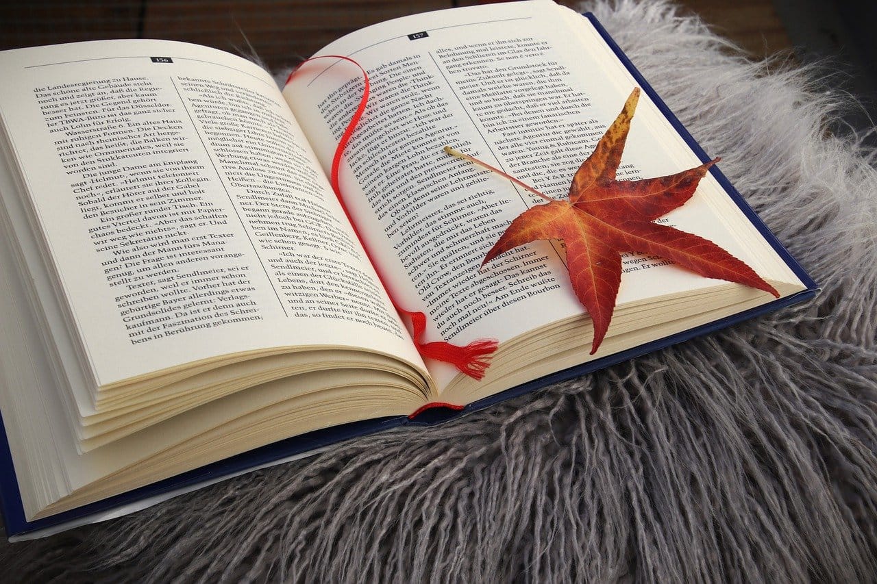 novela-de-aventura novela-de-aventura