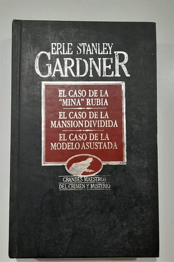 WhatsApp Image 2024-03-30 at 18.27.30 (4) EL CASO DE LA "MINA" RUBIA/EL CASO DE LA MANSION DIVIDIDA/EL CASO DE LA MODELO ASUSTADA