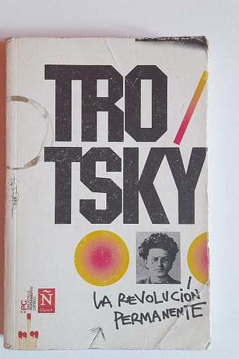 WhatsApp Image 2024-07-29 at 18.33.09 LA REVOLUCIÓN PERMANENTE