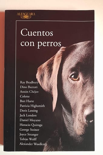 WhatsApp Image 2024-08-26 at 19.34.15 CUENTOS CON PERROS