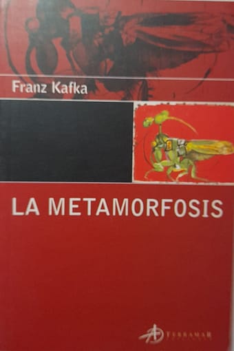 WhatsApp Image 2024-12-08 at 22.57.41 (2) LA METAMORFOSIS