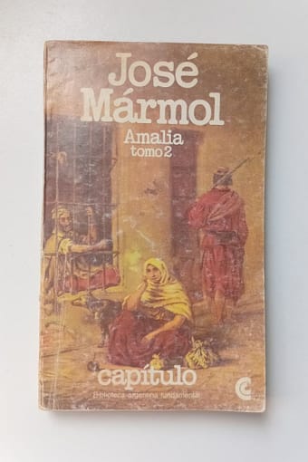 AMALIA TOMO II AMALIA TOMO 2