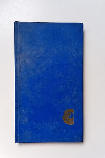 EL ENSAYO ROMANTICO EL ENSAYO ROMÁNTICO