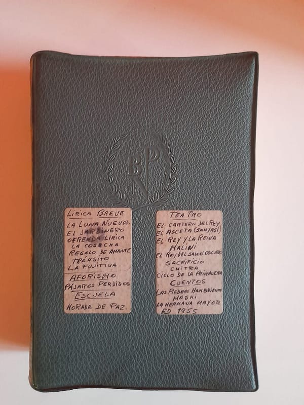 WhatsApp Image 2024-08-26 at 19.34.34 OBRA ESCOGIDA